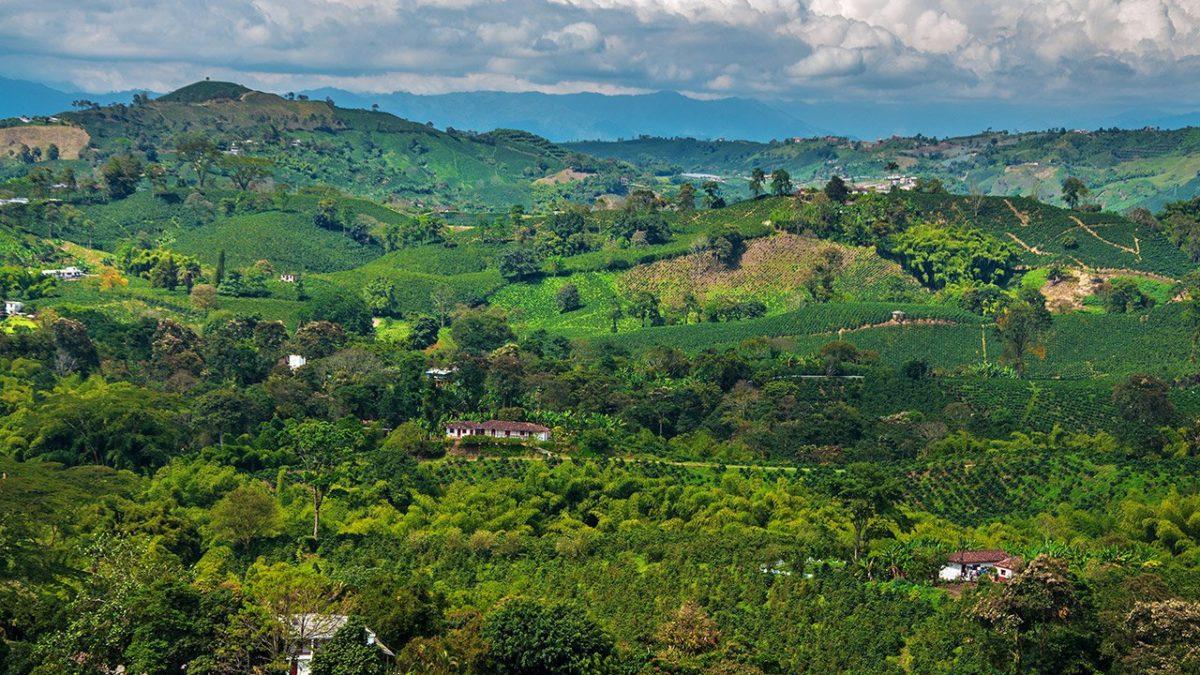 VIAGGIO IN COLOMBIA: LA CAPITALE DEL CAFFÈ