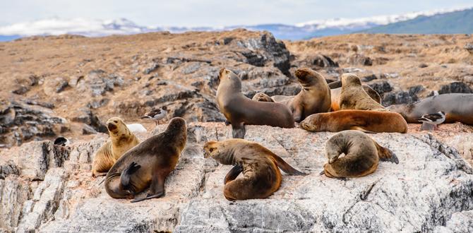 IL MEGLIO DELLA PATAGONIA