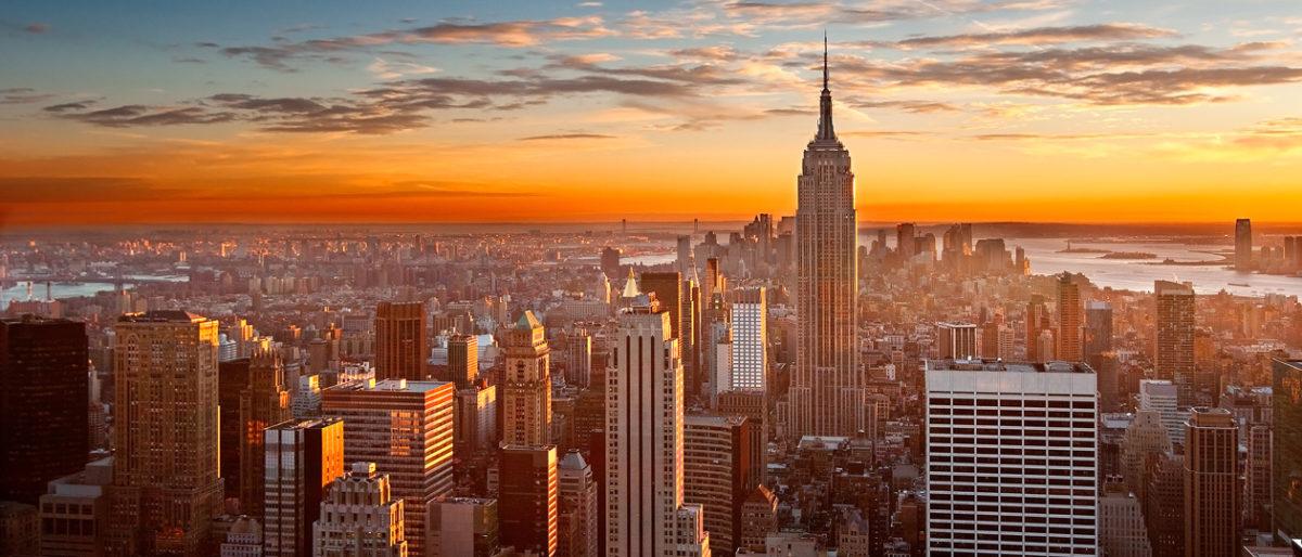 THANKSGIVING E BLACK FRIDAY A NEW YORK