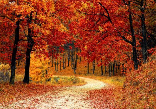 SPECIALE AUTUNNO I NOSTRI TOUR  DI  GRUPPO IN  ASIA