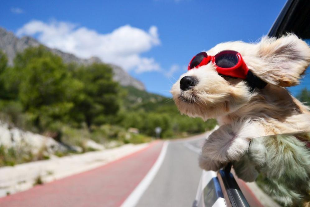 PERCHE’ AMO VIAGGIARE