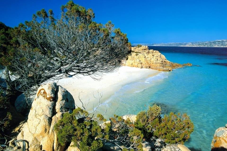 VIAGGIO A MAIORCA